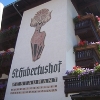 HOTEL ST HUBERTUSHOF Zell am See Thumersbach Austrija 13